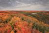 Grand Portage Maple Ridges by Travis Novitsky